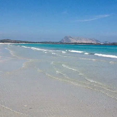 فندق Onda Marina
